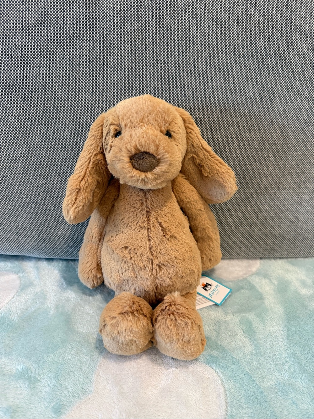 Jellycat Bashful Toffee Puppy BNWT